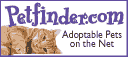 Petfinder Link